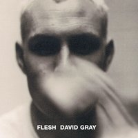 Mystery Of Love - David Gray