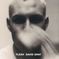 Made Up My Mind - David Gray