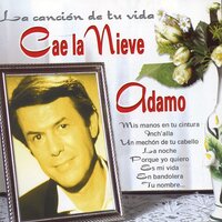 Como Rosas - Salvatore  Adamo