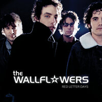 Everybody Out Of The Water - The Wallflowers