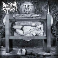 The Passion of Lucifer - Pungent Stench
