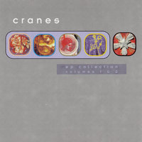 Breeze - Cranes