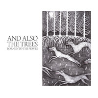 Seasons and the Storms - And Also the Trees