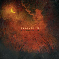 Drawn to Black - Insomnium