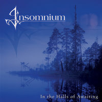 Song Of The Storm - Insomnium