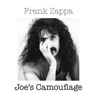 The Illinois Enema Bandit - Frank Zappa