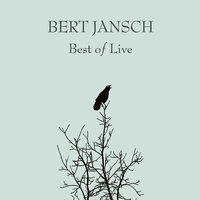Morning Brings Peace of Mind - Bert Jansch