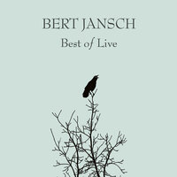 Trouble in Mind - Bert Jansch