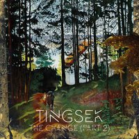The Change (Pt. 2) - Tingsek