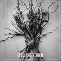 Aphids - Spiritbox