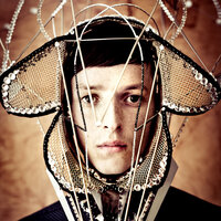 Promises - Totally Enormous Extinct Dinosaurs