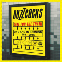 Operator's Manual - Buzzcocks