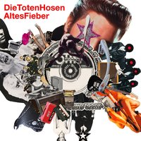 Unter den Steinen - Die Toten Hosen