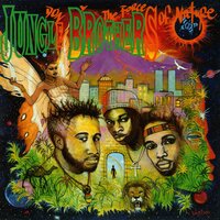 Black Woman - Jungle Brothers