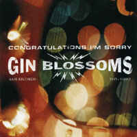 Perfectly Still - Gin Blossoms
