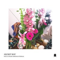 Secret Boy - Wicca Phase Springs Eternal