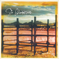 Pieces Of The Night - Gin Blossoms