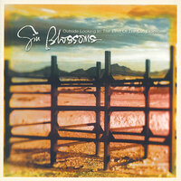 Hey Jealousy - Gin Blossoms