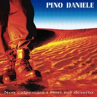 'O cammello 'nnammurato - Pino Daniele