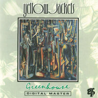 Freedomland - Yellowjackets