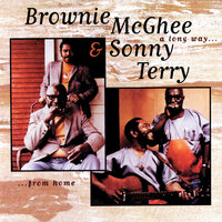 Life Is A Gamble - Brownie McGhee, Sonny Terry