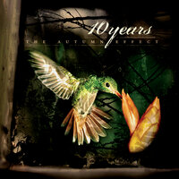 Insects - 10 Years