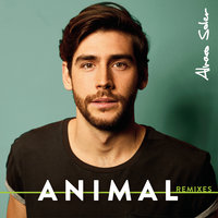 Animal - Alvaro Soler, DJ Katch