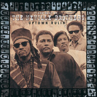Fly Like An Eagle - The Neville Brothers