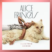 Too Damn Hot - Alice Francis