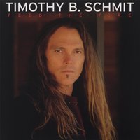 Make You Feel My Love - Timothy B. Schmit