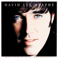 We Can't All Be Angels - David Lee Murphy