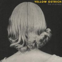 Libraries - Yellow Ostrich