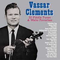 Black Hawk Waltz - Vassar Clements