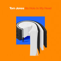 No Hole In My Head - Tom Jones