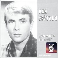 Nu M-Am Gândit La Despărțire - Dan Spataru