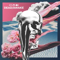 Forgiveness - Dead, Awake