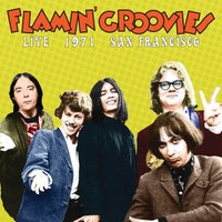 Have You Seen My Baby' - Flamin' Groovies