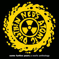 Kill Your Television - Ned's Atomic Dustbin