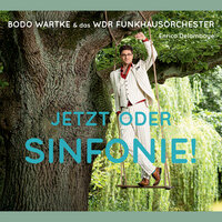 Schlaflied - Bodo Wartke, WDR Funkhausorchester