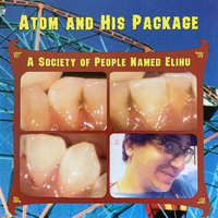 You Took Me By Surprise - Atom And His Package
