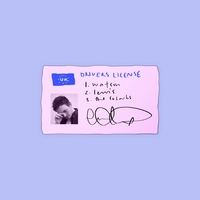 drivers license - Lewis Watson