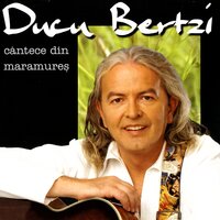 Izza - Ducu Bertzi