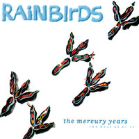 Sympathy For The Devil - Rainbirds