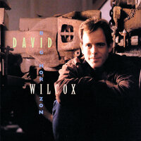 That's What The Lonely Is For - David Wilcox