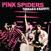 Teenage Graffiti - The Pink Spiders
