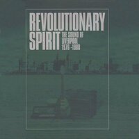 Revolutionary Spirit - The Wild Swans