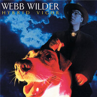 Hittin' Where It Hurts - Webb Wilder