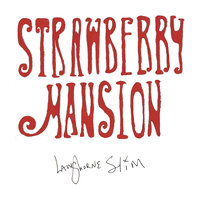 The Mansion - Langhorne Slim