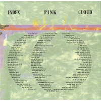 Drive Me Nuts - Pink Cloud