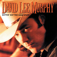 She's Really Something To See - David Lee Murphy